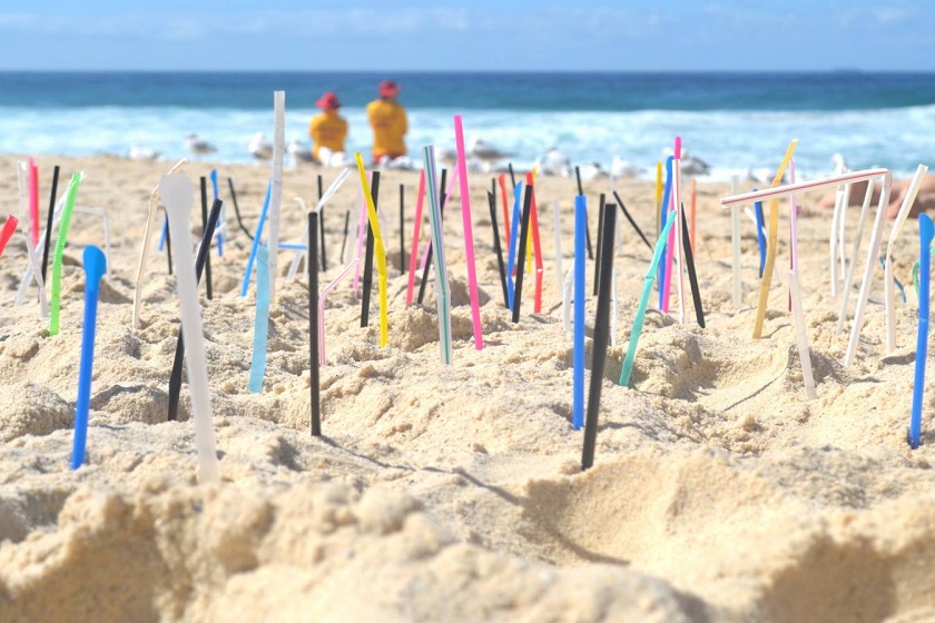 Why are Plastic Straws so Damaging to the Marine Environment? - Paper Straw  Group