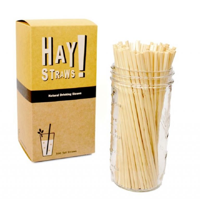 How plastic straws took over the world VinaStraws