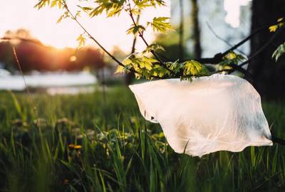 EU proposed a sweeping ban on throw-away plastic straws, cotton buds to limit plastic pollution