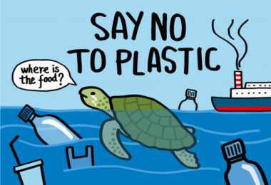 Plastic Straws - The Environmental Impact - STOP IT NOW – Facts and  Statistics