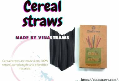 OUR SMOOTHIE COLLECTION CEREAL STRAWS WIDE 8MM DIAMETER BLACK